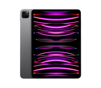 Apple iPad Pro 11" (4th Gen)