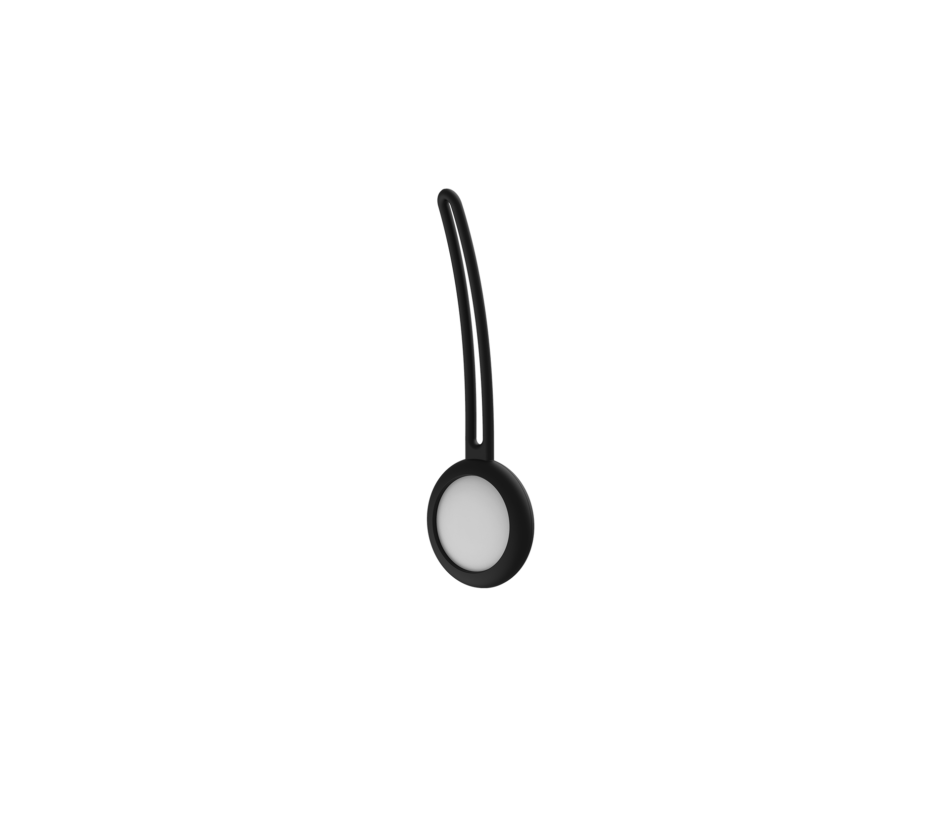 LoopCase for AirTag
