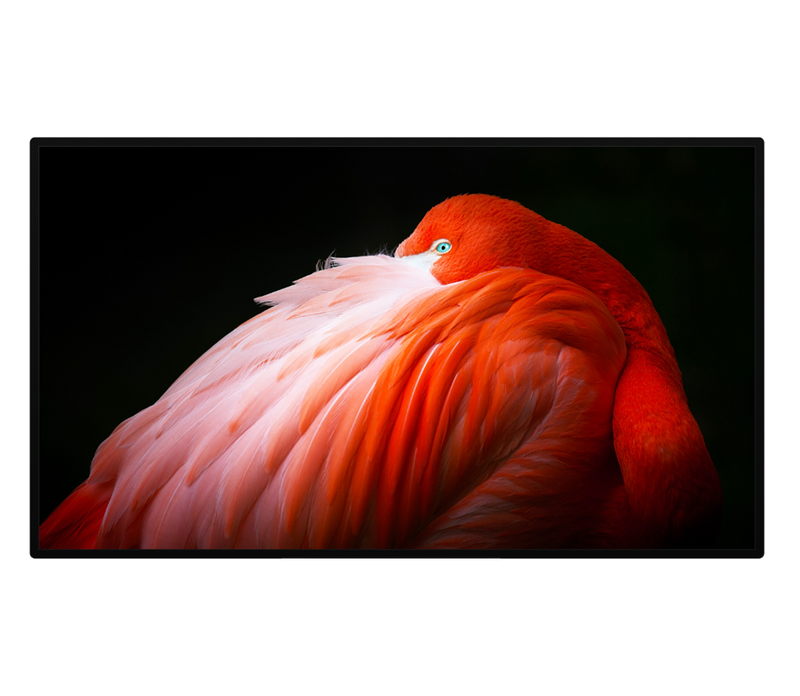 Apple Pro Display XDR