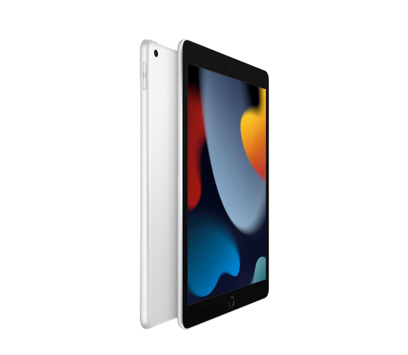 Apple iPad 10.2-inch (9th Gen) Wi-Fi 256GB