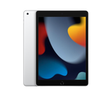 Apple iPad 10.2-inch (9th Gen) Wi-Fi + Cellular 256GB